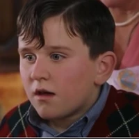 Dudley Dursley
