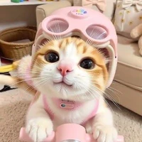 Tác giả là iem"*