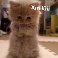 hệ thống này les