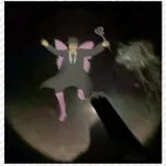 Ma Fi Fai ( sentinel )