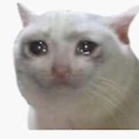 Tất cả đồng bộ