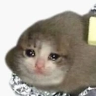 Team anh em trà xanh