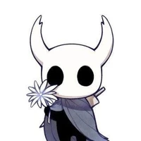 hollow knight