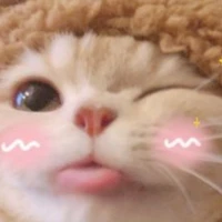 tg dễ thương