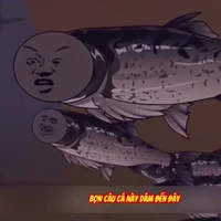 all cá ( bất cứ con nào)