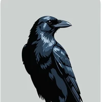 robot bảo mẫu quạ đen ( ris )