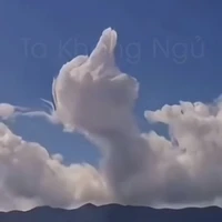 T/g