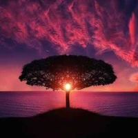 cả ba người - ai thì trừ