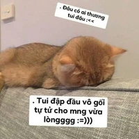 tác giả