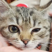 Long - Bảo Bảo ( nam tám)