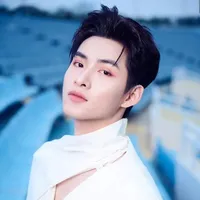 Huỳnh Hoàng Hùng- Gemini