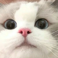 t/g