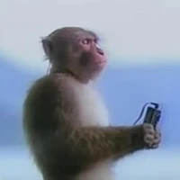 con t/giả họ lô....