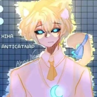 Hiha_ Anti Catnap