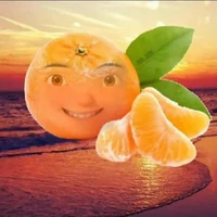 T/g bố đời ( Cim)