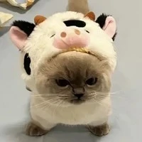 nhỏ tg bị khờ