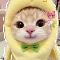 Nhỏ tác giả ác ma - KindyCat