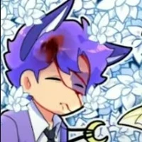 Hiha Catnap