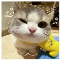 hệ thống_danmy