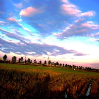 all mọi người (trừ ai thì trừ)