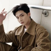 Ngô Nguyên Bình (Ny Phương Nam)