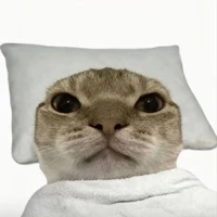 Rin/tác giả