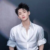 Huỳnh Hoàng Hùng (Gemini)