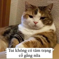 Tập thể lớp 12A1