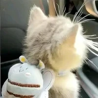 tgiaa