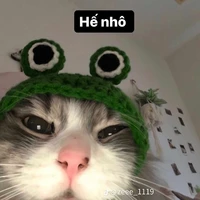 tác giả