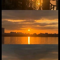 tác giả ✨