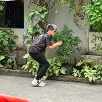 Thóng Lai Bâng