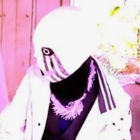 error sans 505
