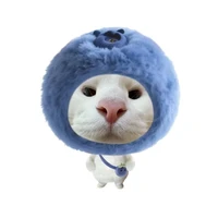 sứaaa