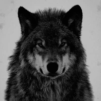 Sói (Ble bản sói)