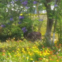 all (-ai thì trừ)