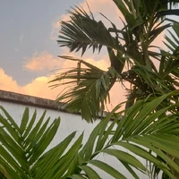 All - những ng cần -