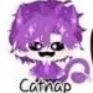 Hiha Catnat