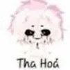 Hiha Tha Hoá