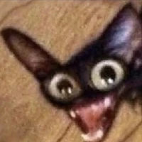 t/g les nhưng lười