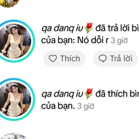 con báo hà nội