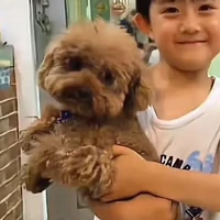 cún con🐕 đáng yêu 😘