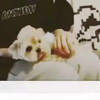 Tiểu cừu🐑🐶