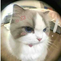 tg iu duonghung☺️