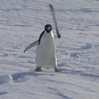 Thông báo thế giới