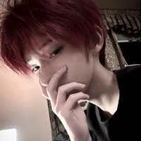 Nguyễn Hồ Thanh Tùng