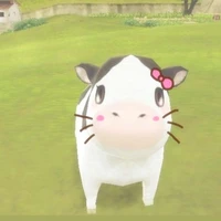 dann - Tác giả xênh gái.