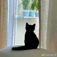 Ari_Tg nèe