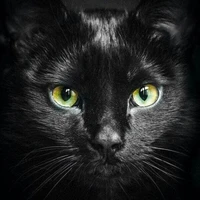 Connor