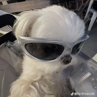 tác giả ngáo ngơ